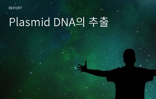 Plasmid DNA의 추출