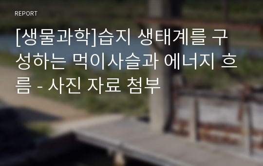 [생물과학]습지 생태계를 구성하는 먹이사슬과 에너지 흐름 - 사진 자료 첨부