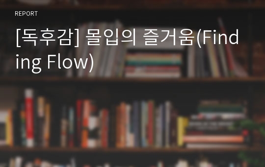 [독후감] 몰입의 즐거움(Finding Flow)