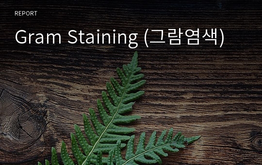 Gram Staining (그람염색)