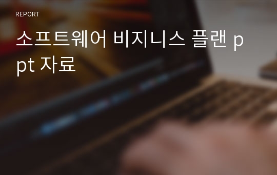 소프트웨어 비지니스 플랜 ppt 자료