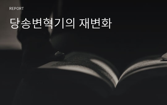 당송변혁기의 재변화