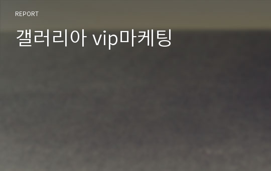 갤러리아 vip마케팅