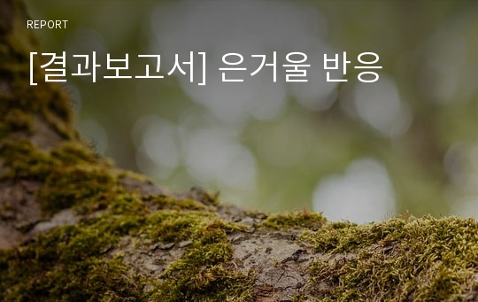 [결과보고서] 은거울 반응