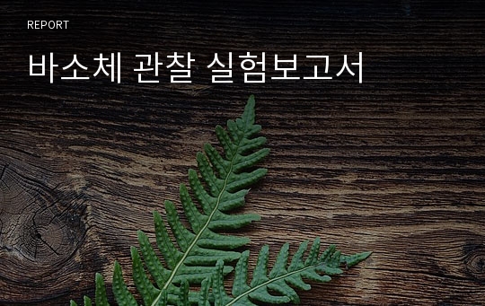 바소체 관찰 실험보고서