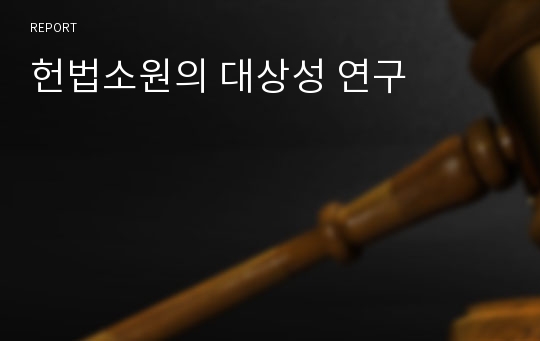 헌법소원의 대상성 연구