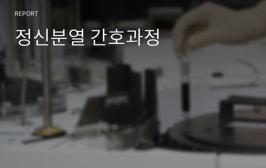 정신분열 간호과정