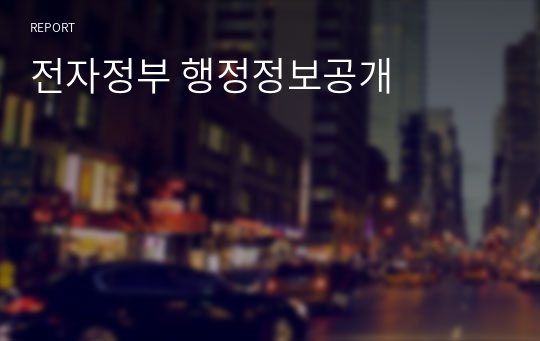 전자정부 행정정보공개