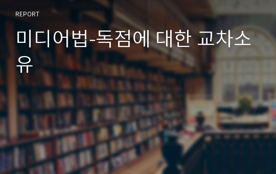 미디어법-독점에 대한 교차소유