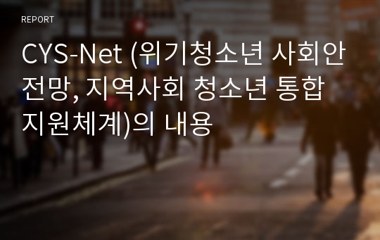 CYS-Net (위기청소년 사회안전망, 지역사회 청소년 통합지원체계)의 내용