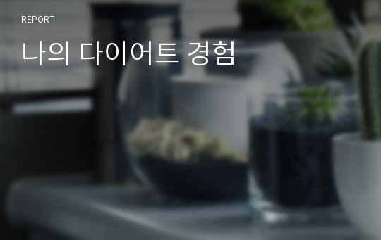 나의 다이어트 경험