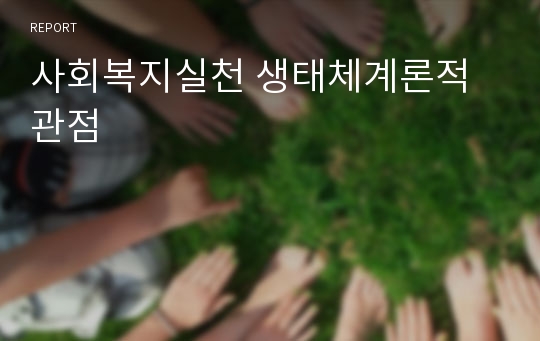 사회복지실천 생태체계론적 관점