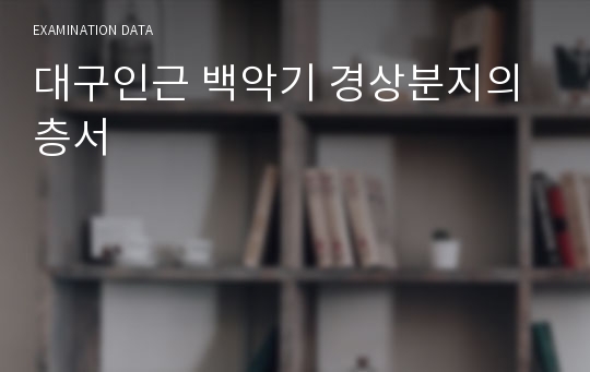 대구인근 백악기 경상분지의 층서