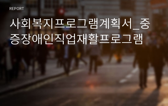 사회복지프로그램계획서_중증장애인직업재활프로그램