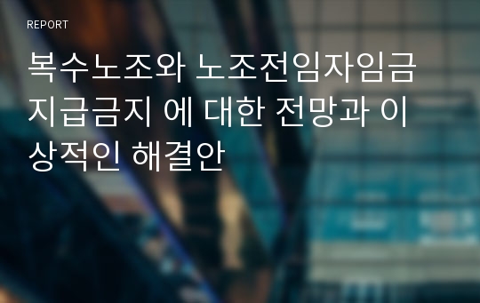 복수노조와 노조전임자임금지급금지 에 대한 전망과 이상적인 해결안