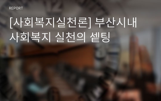 [사회복지실천론] 부산시내 사회복지 실천의 셑팅