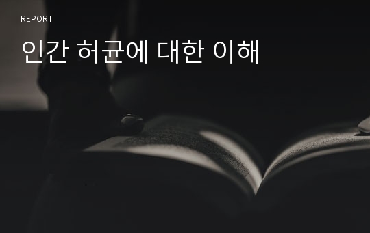 인간 허균에 대한 이해