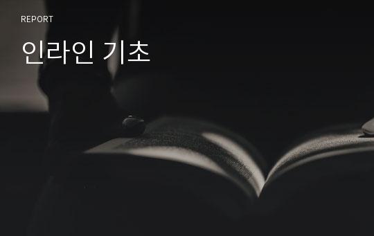 인라인 기초