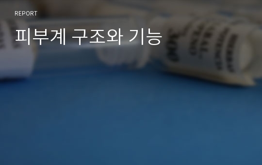 피부계 구조와 기능