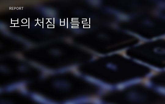 보의 처짐 비틀림