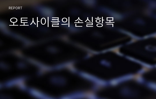 오토사이클의 손실항목