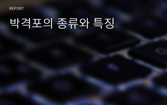 박격포의 종류와 특징