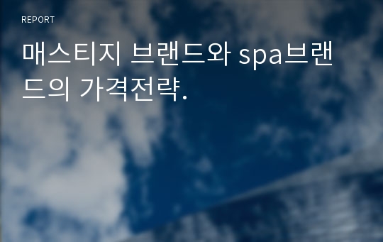 매스티지 브랜드와 spa브랜드의 가격전략.