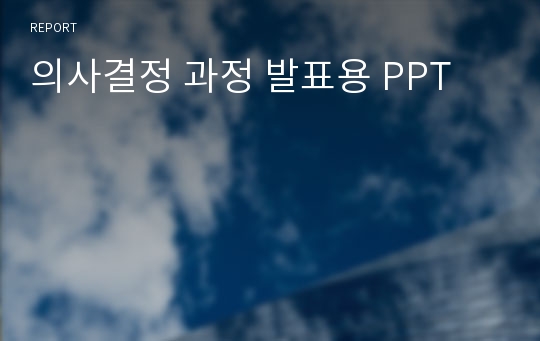 의사결정 과정 발표용 PPT