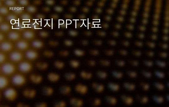 연료전지 PPT자료