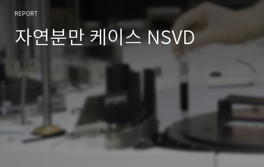 자연분만 케이스 NSVD