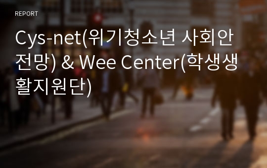 Cys-net(위기청소년 사회안전망) &amp; Wee Center(학생생활지원단)