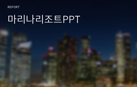 마리나리조트PPT