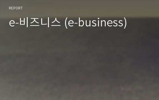 e-비즈니스 (e-business)