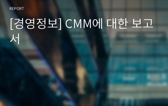 [경영정보] CMM에 대한 보고서