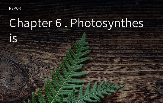 Chapter 6 . Photosynthesis