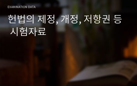 헌법의 제정, 개정, 저항권 등 시험자료