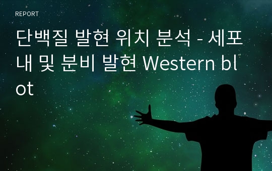 단백질 발현 위치 분석 - 세포내 및 분비 발현 Western blot