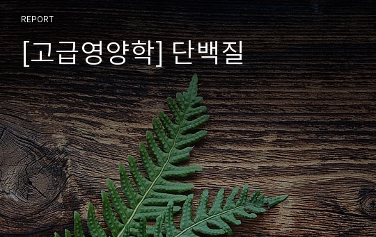 [고급영양학] 단백질