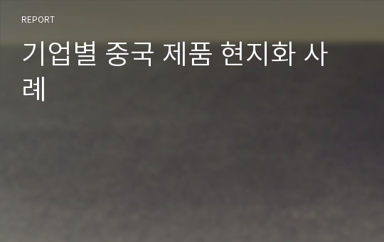 기업별 중국 제품 현지화 사례