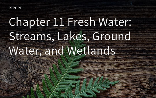 Chapter 11 Fresh Water: Streams, Lakes, Ground Water, and Wetlands