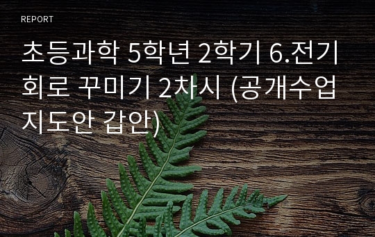 초등과학 5학년 2학기 6.전기회로 꾸미기 2차시 (공개수업지도안 갑안)