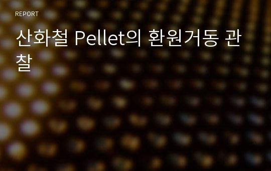 산화철 Pellet의 환원거동 관찰