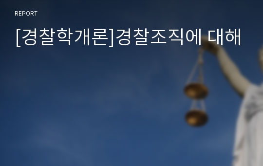 [경찰학개론]경찰조직에 대해