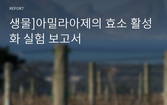 생물]아밀라아제의 효소 활성화 실험 보고서