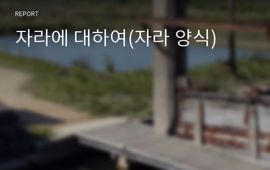 자라에 대하여(자라 양식)