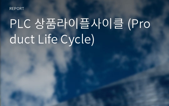 PLC 상품라이플사이클 (Product Life Cycle)