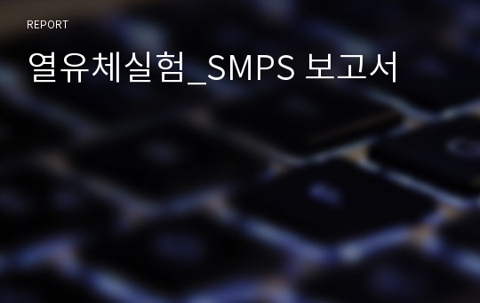 열유체실험_SMPS 보고서