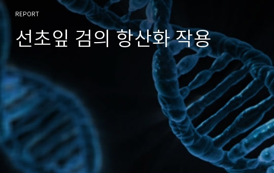 선초잎 검의 항산화 작용