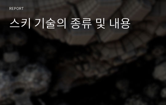 스키 기술의 종류 및 내용