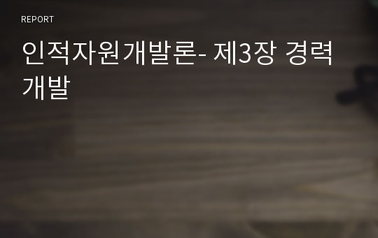 인적자원개발론- 제3장 경력개발